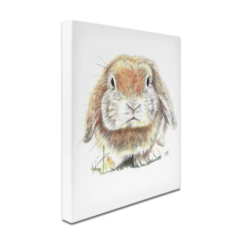 Bunny Illustration Canvas Print