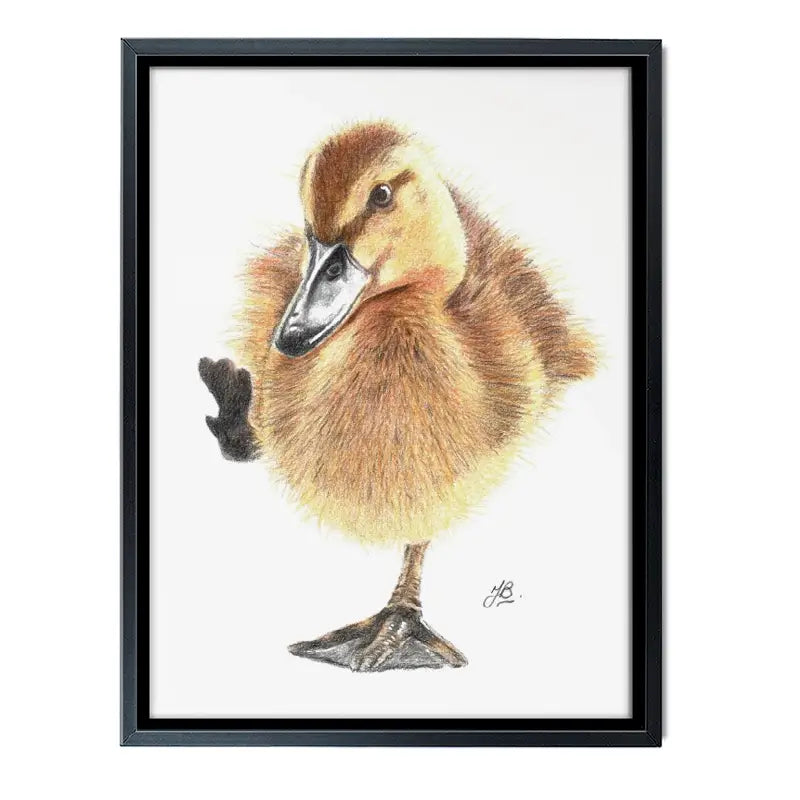 Duck Illustration Canvas Print