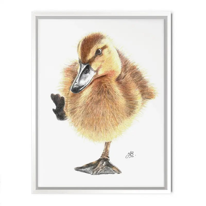 Duck Illustration Canvas Print