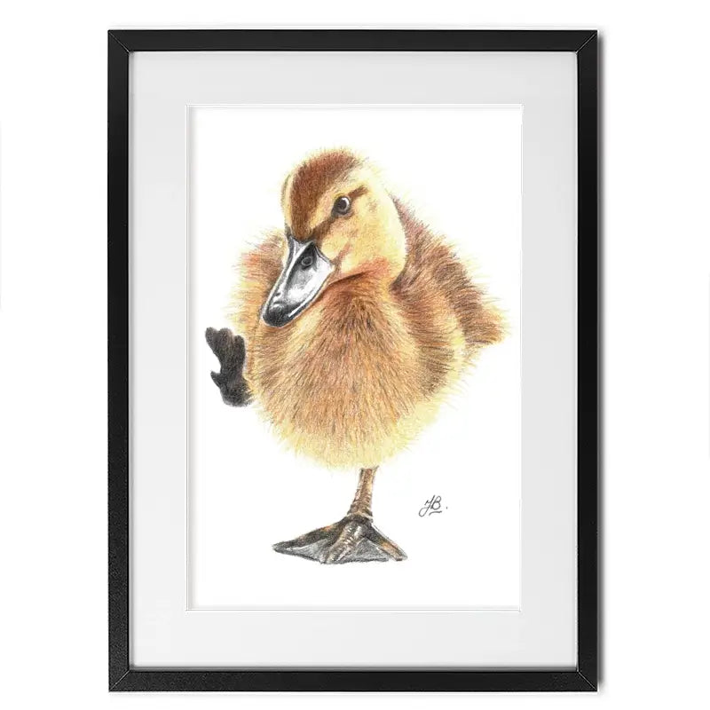 Duck Illustration Framed Art Print