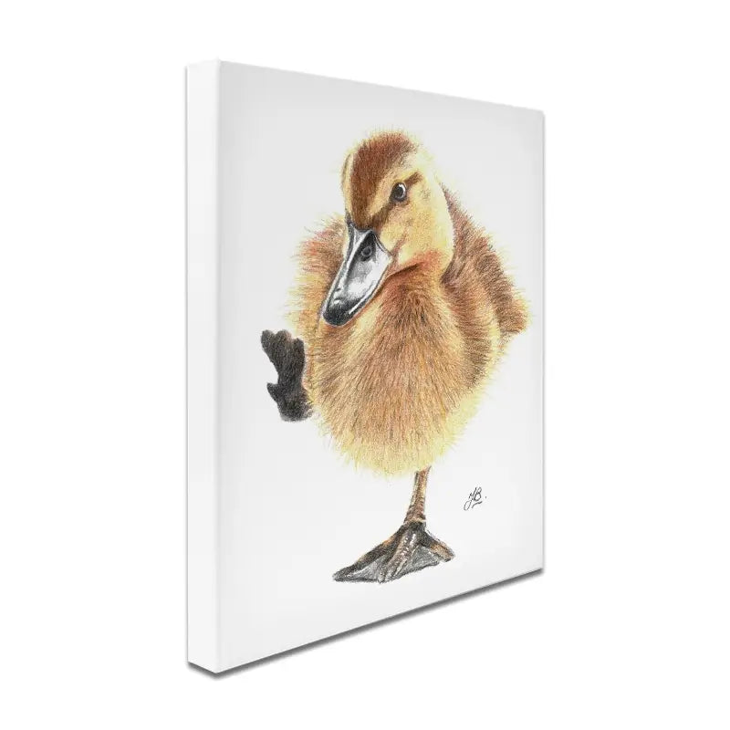 Duck Illustration Canvas Print