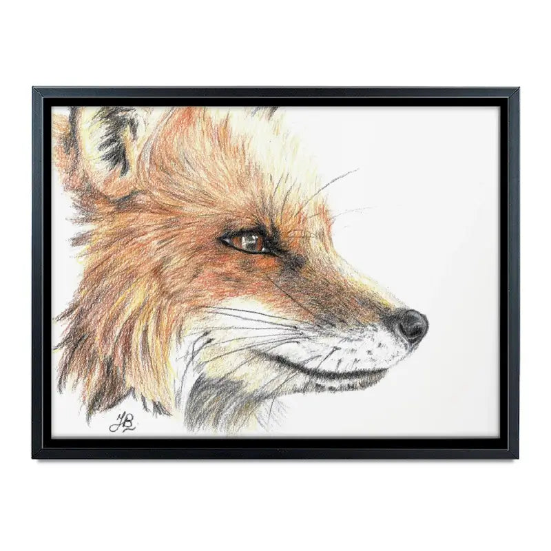 Fox Illustration Canvas Print