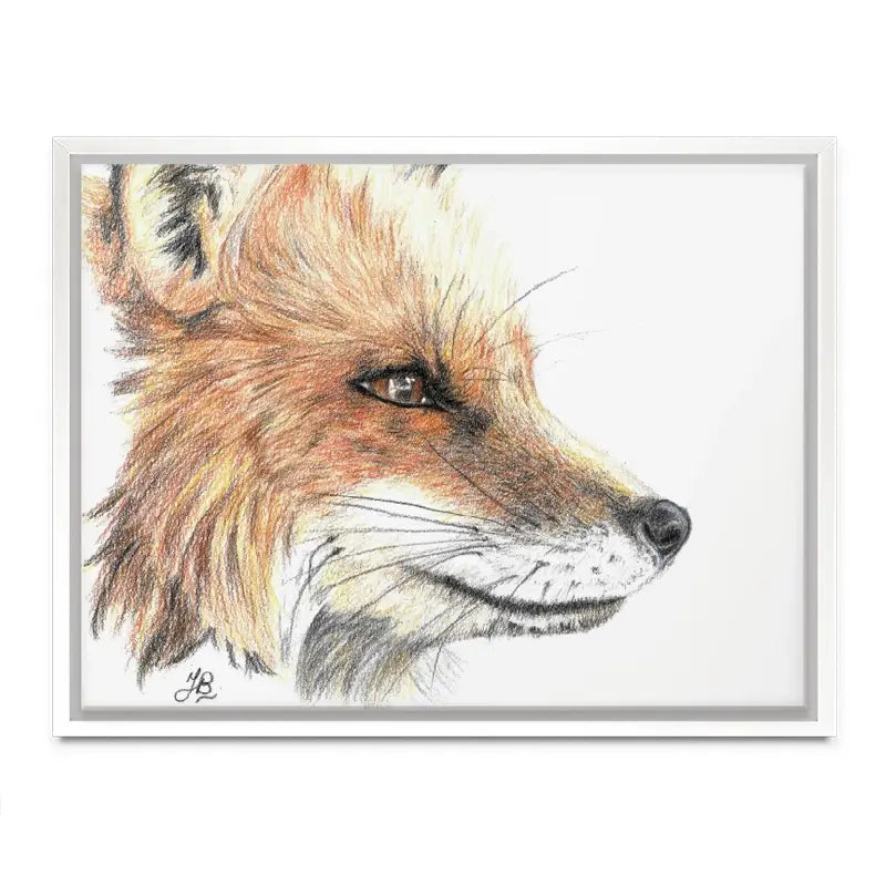 Fox Illustration Canvas Print