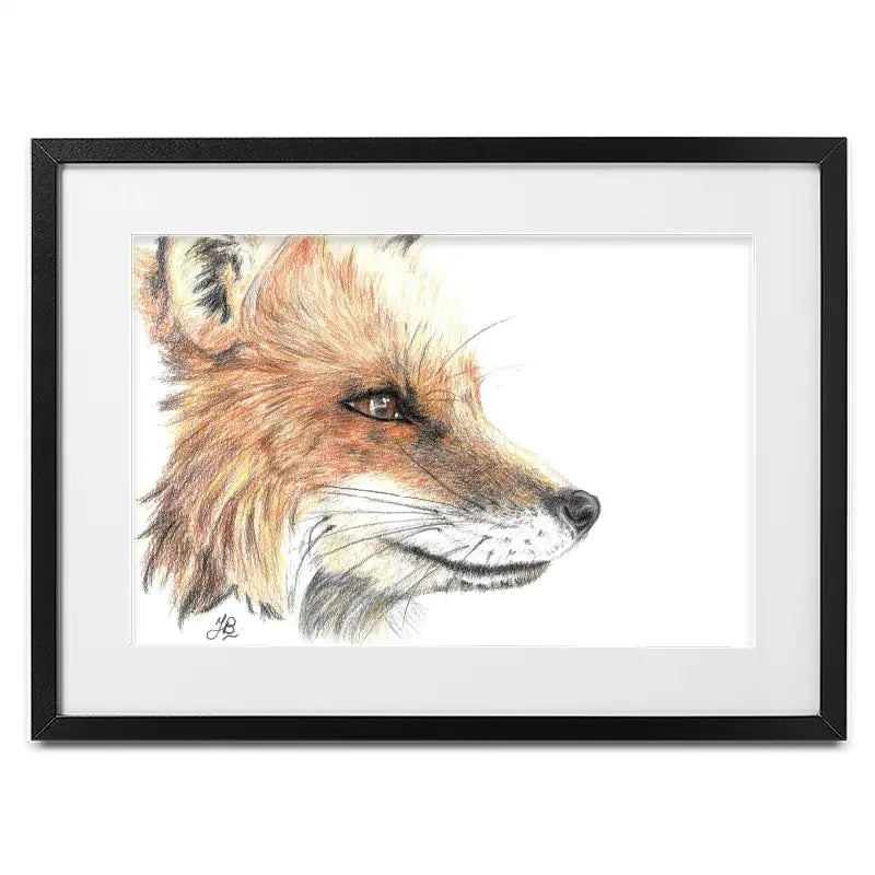 Fox Illustration Framed Art Print