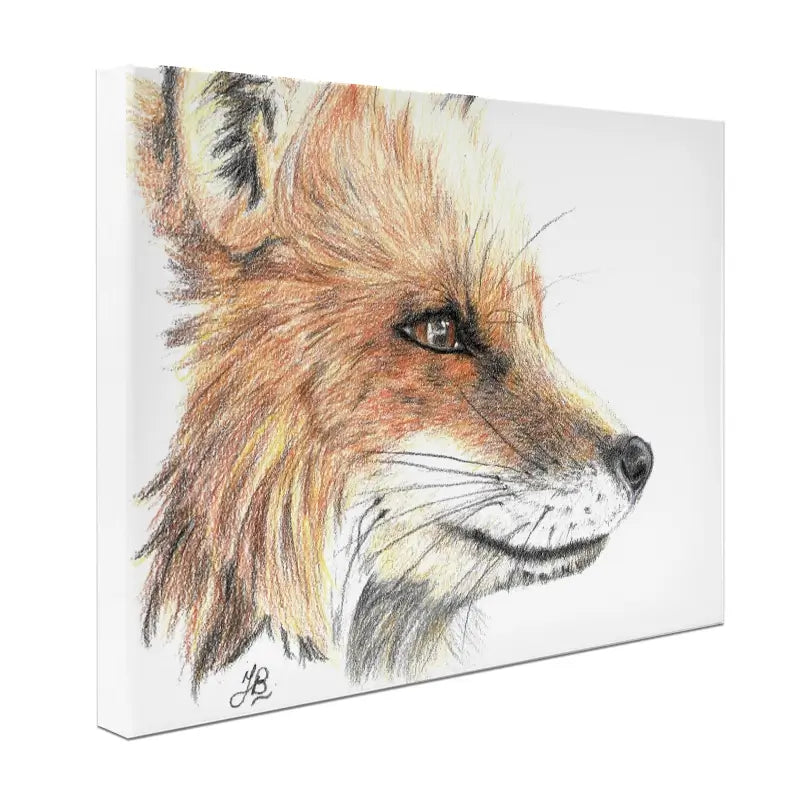 Fox Illustration Canvas Print