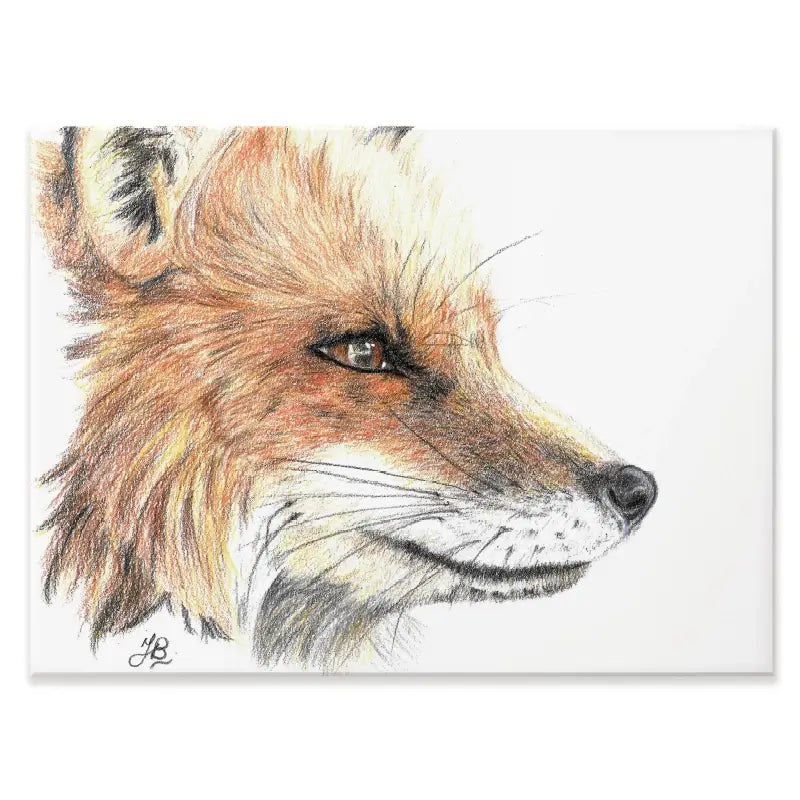 Fox Illustration Canvas Print