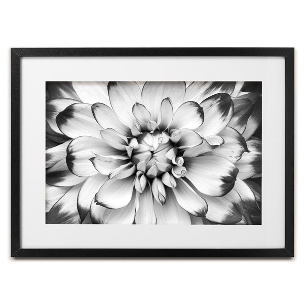 Black And White Flower Framed Art Print – Art Print Shop