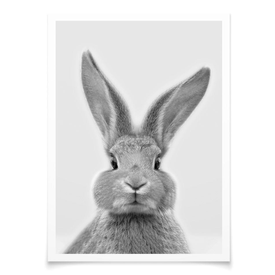 Bunny Rabbit Portrait Art Print wall art product R Visser