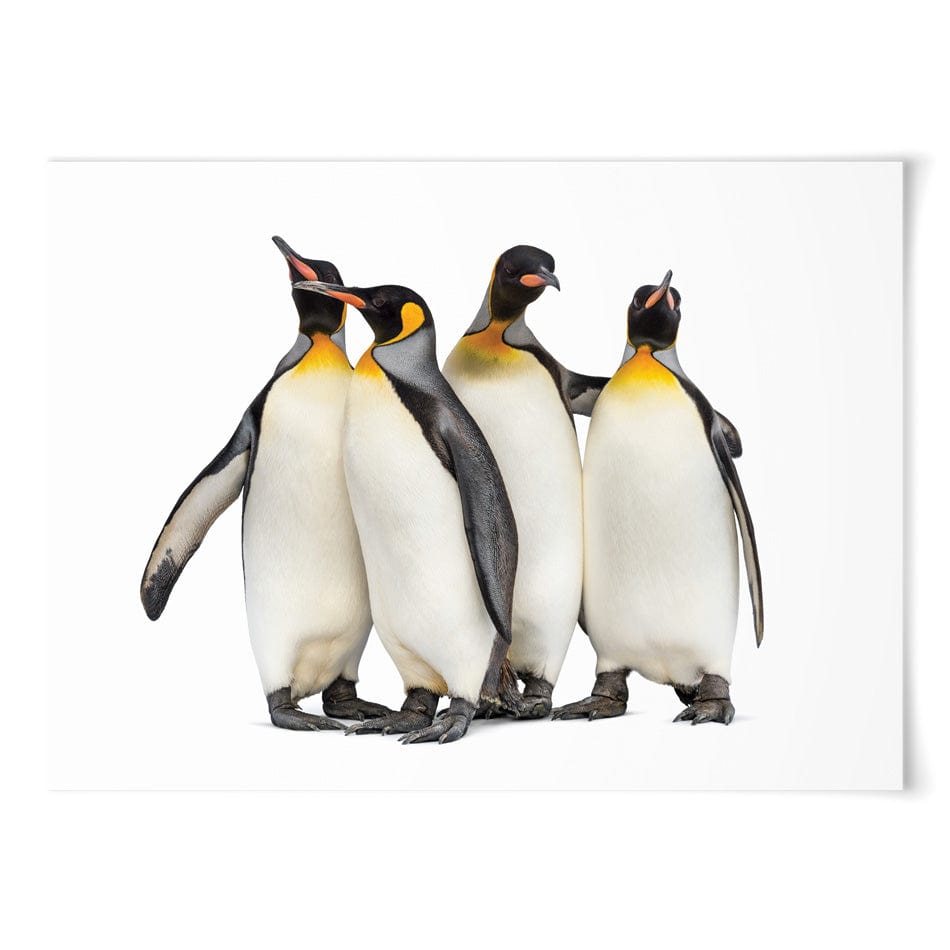 Penguin Gang Art Print – Art Print Shop