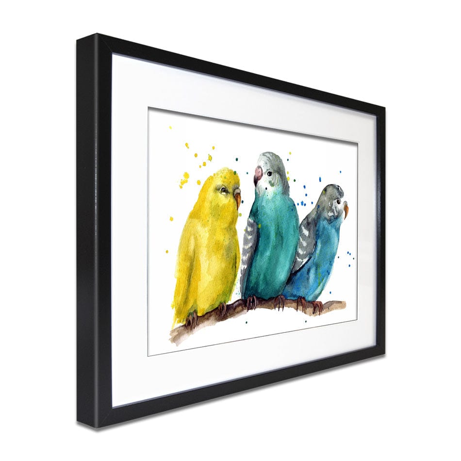 Watercolour Budgies Framed Art Print wall art product / Shutterstock