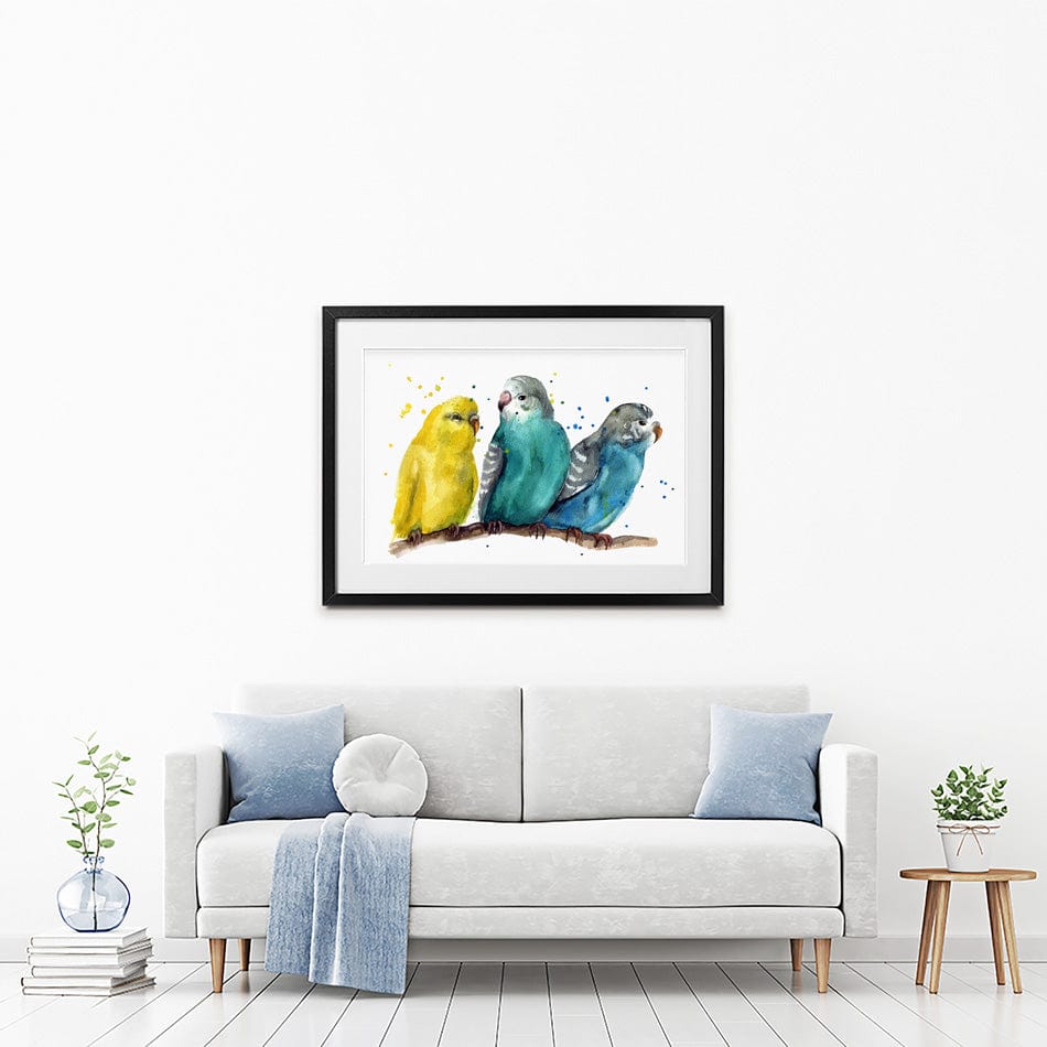 Watercolour Budgies Framed Art Print wall art product / Shutterstock