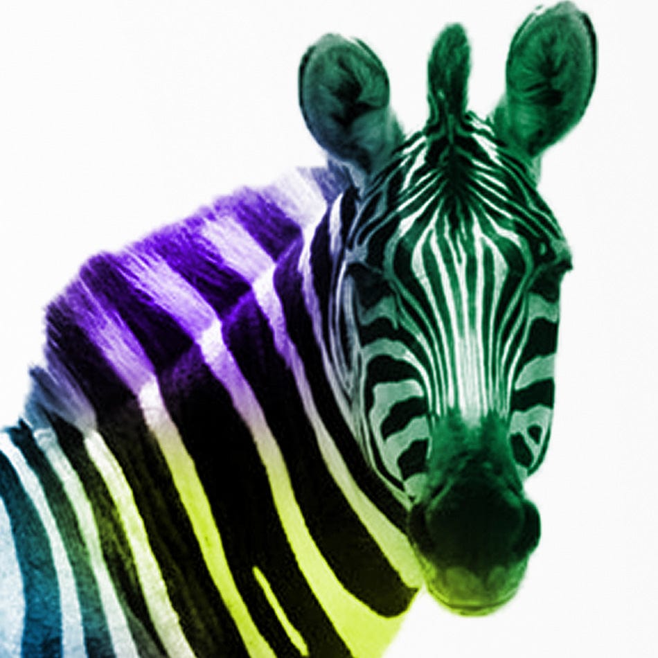 Zebra Behind Bars Art Print wall art product / Shutterstock