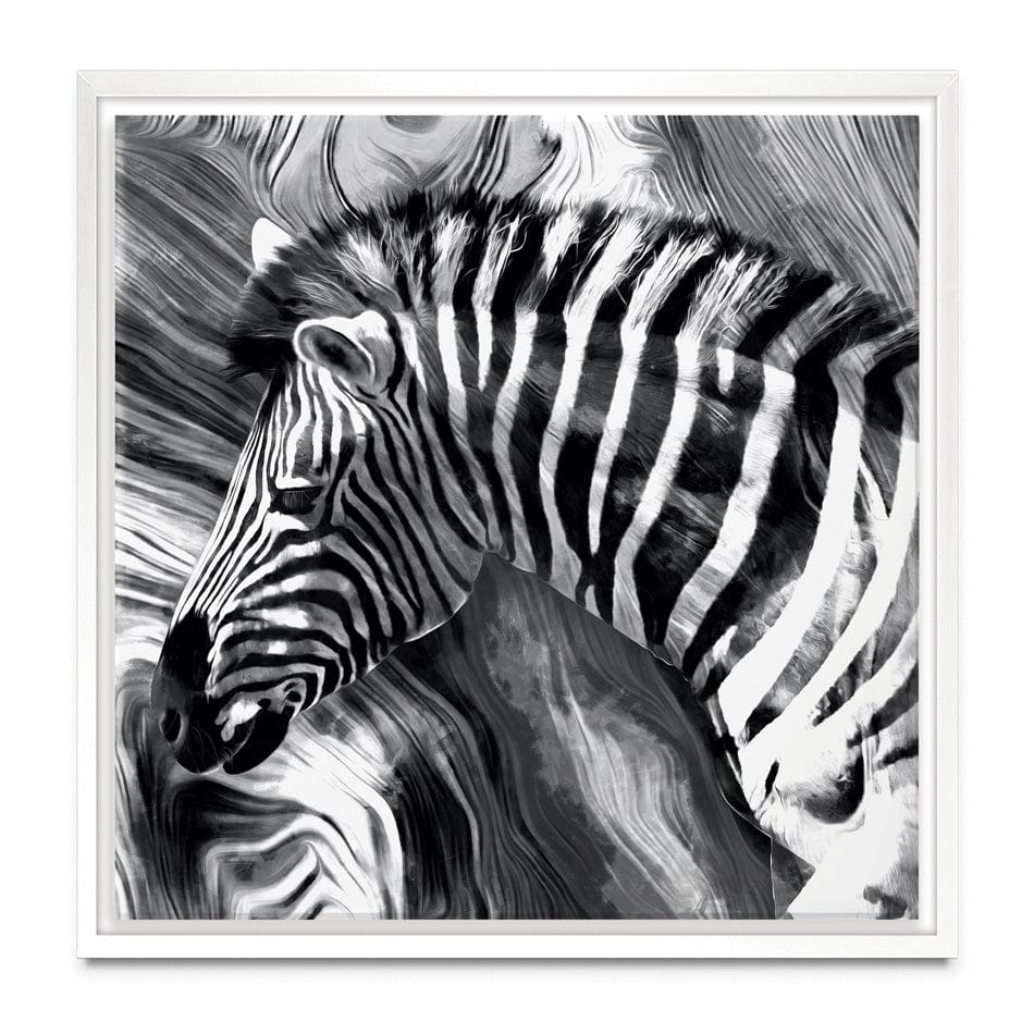 Zebra Square Canvas Print wall art product Mohammadreza Zeidabadi / Shutterstock