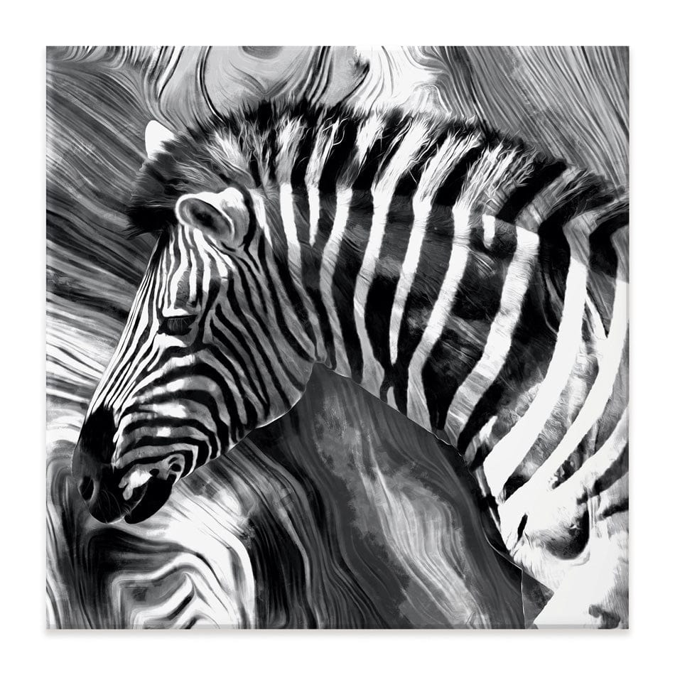 Zebra Square Canvas Print wall art product Mohammadreza Zeidabadi / Shutterstock