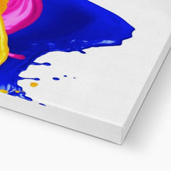A Splash Of Colour Canvas Print – Art Print Shop