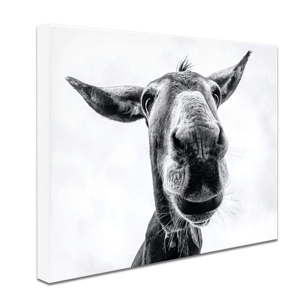 Black And White Donkey Canvas Print wall art product COLOMBO NICOLA / Shutterstock