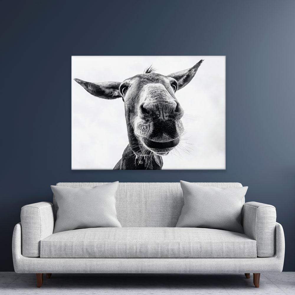 Black And White Donkey Canvas Print wall art product COLOMBO NICOLA / Shutterstock