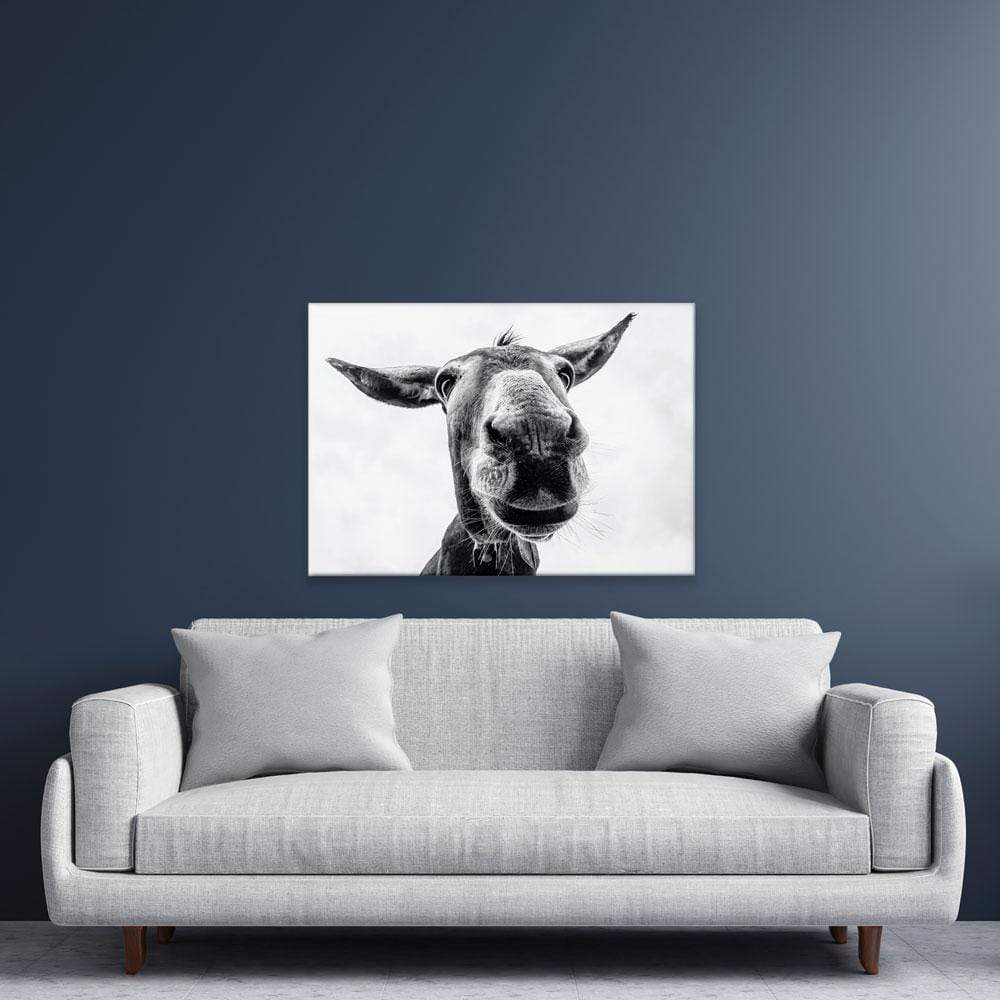 Black And White Donkey Canvas Print wall art product COLOMBO NICOLA / Shutterstock