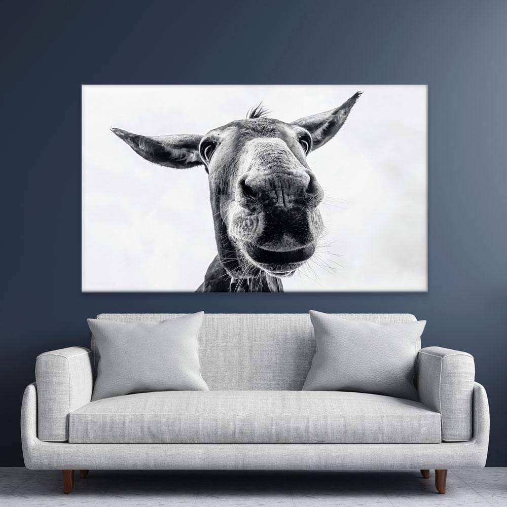 Black And White Donkey Canvas Print wall art product COLOMBO NICOLA / Shutterstock