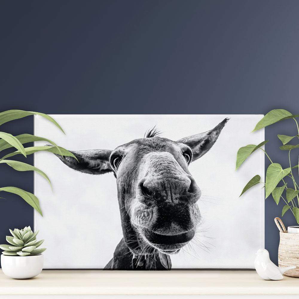 Black And White Donkey Canvas Print wall art product COLOMBO NICOLA / Shutterstock