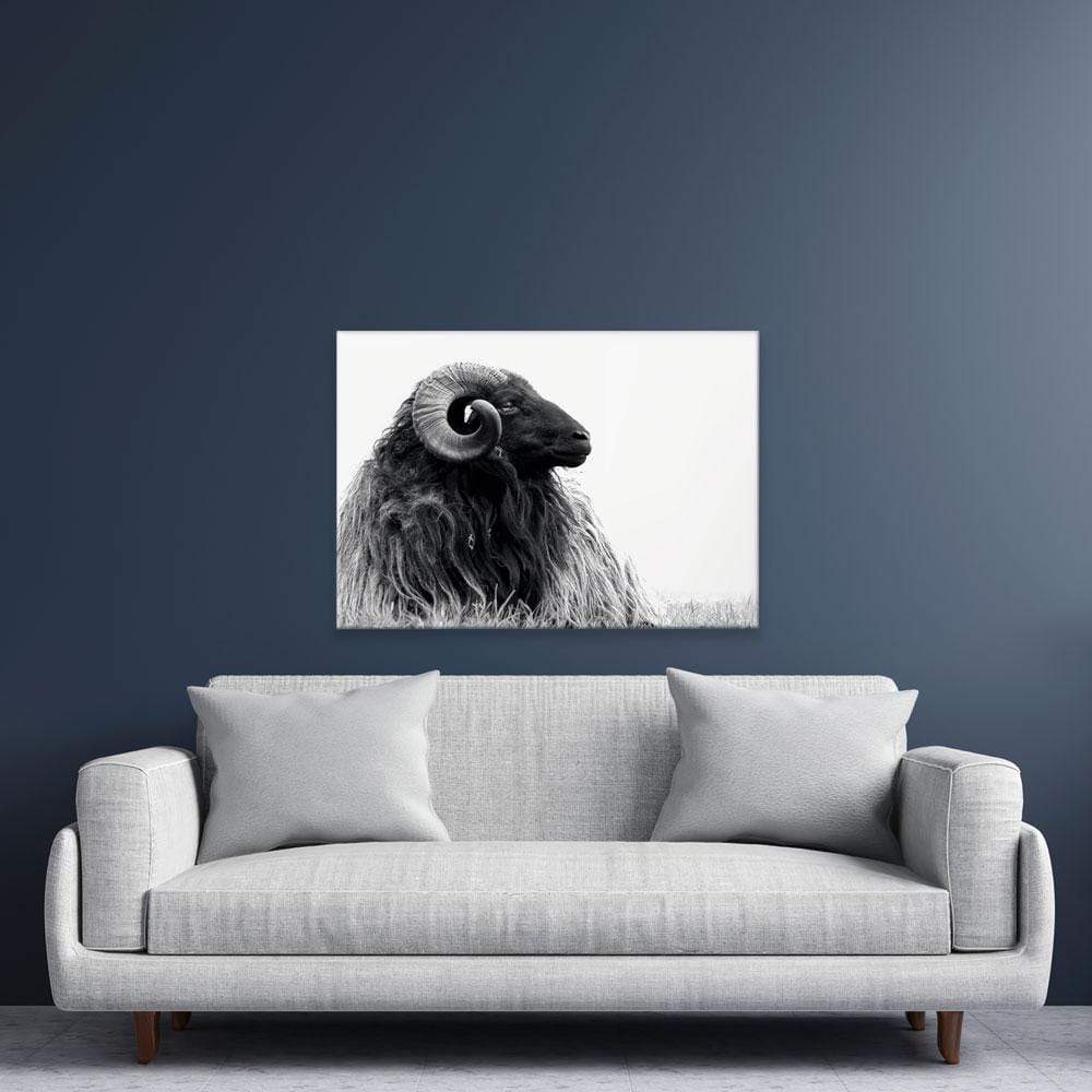 Black And White Ram Canvas Print wall art product DJarr Fotografie / Shutterstock