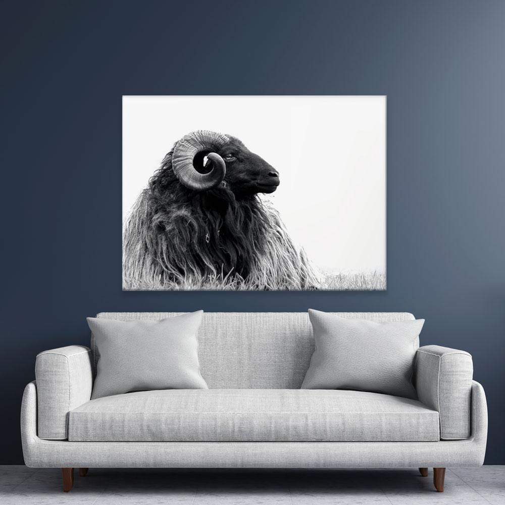 Black And White Ram Canvas Print wall art product DJarr Fotografie / Shutterstock