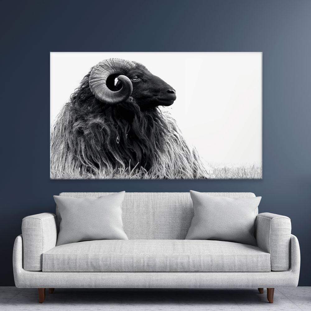 Black And White Ram Canvas Print wall art product DJarr Fotografie / Shutterstock