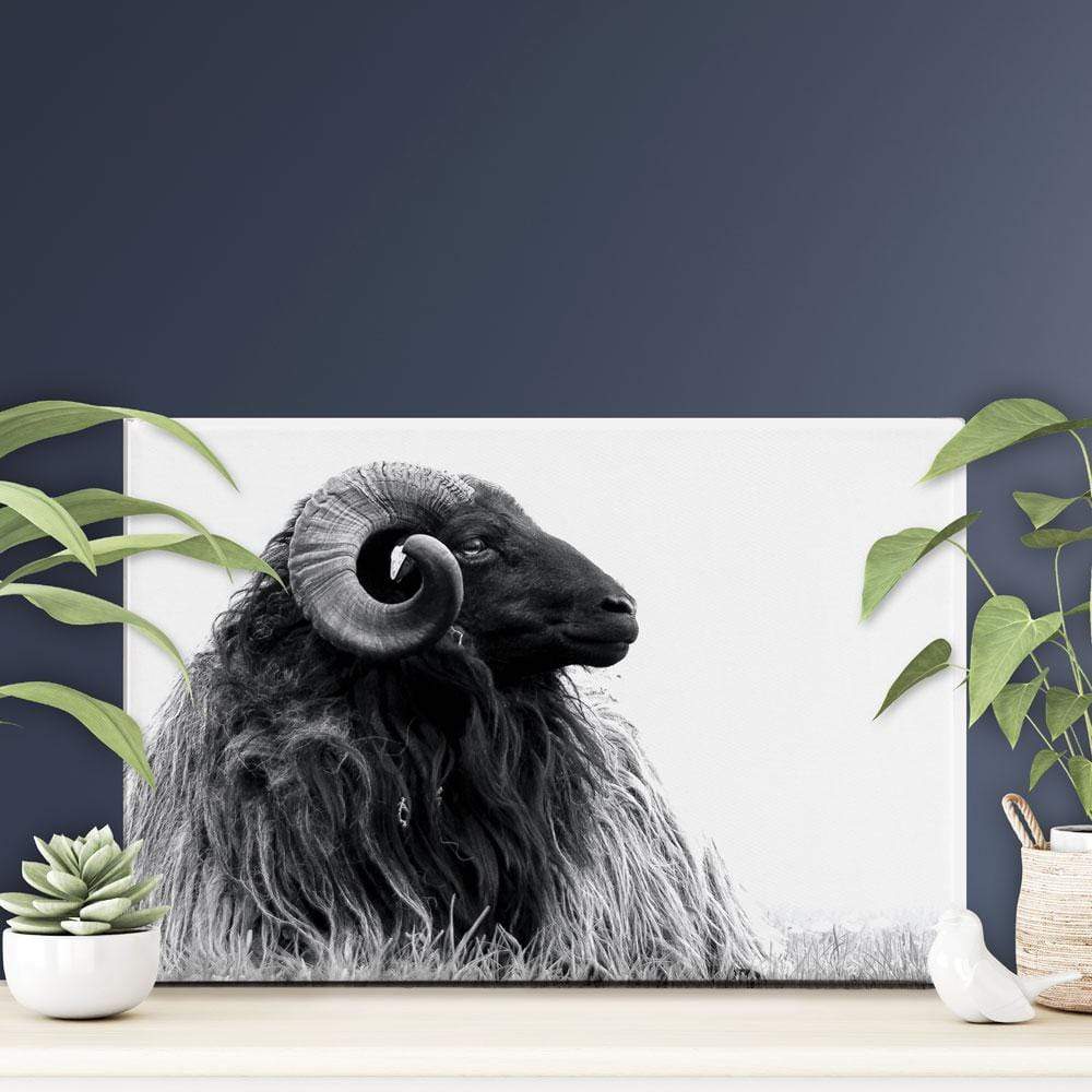 Black And White Ram Canvas Print wall art product DJarr Fotografie / Shutterstock