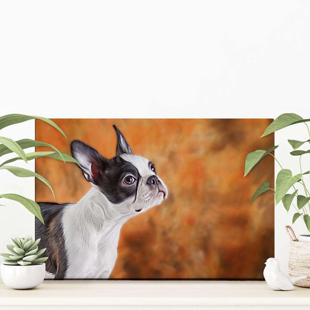 Boston Terrier Canvas Print wall art product dezy / Shutterstock