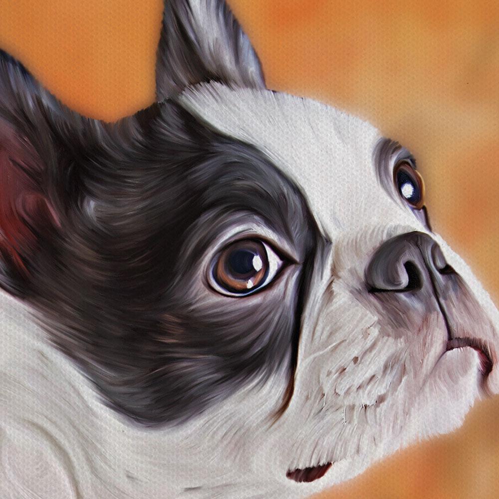 Boston Terrier Canvas Print wall art product dezy / Shutterstock