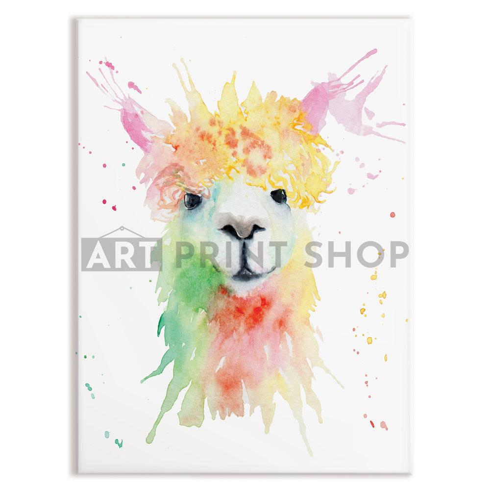 Colourful Watercolour Alpaca Canvas Print wall art product Olga Toshka / Shutterstock