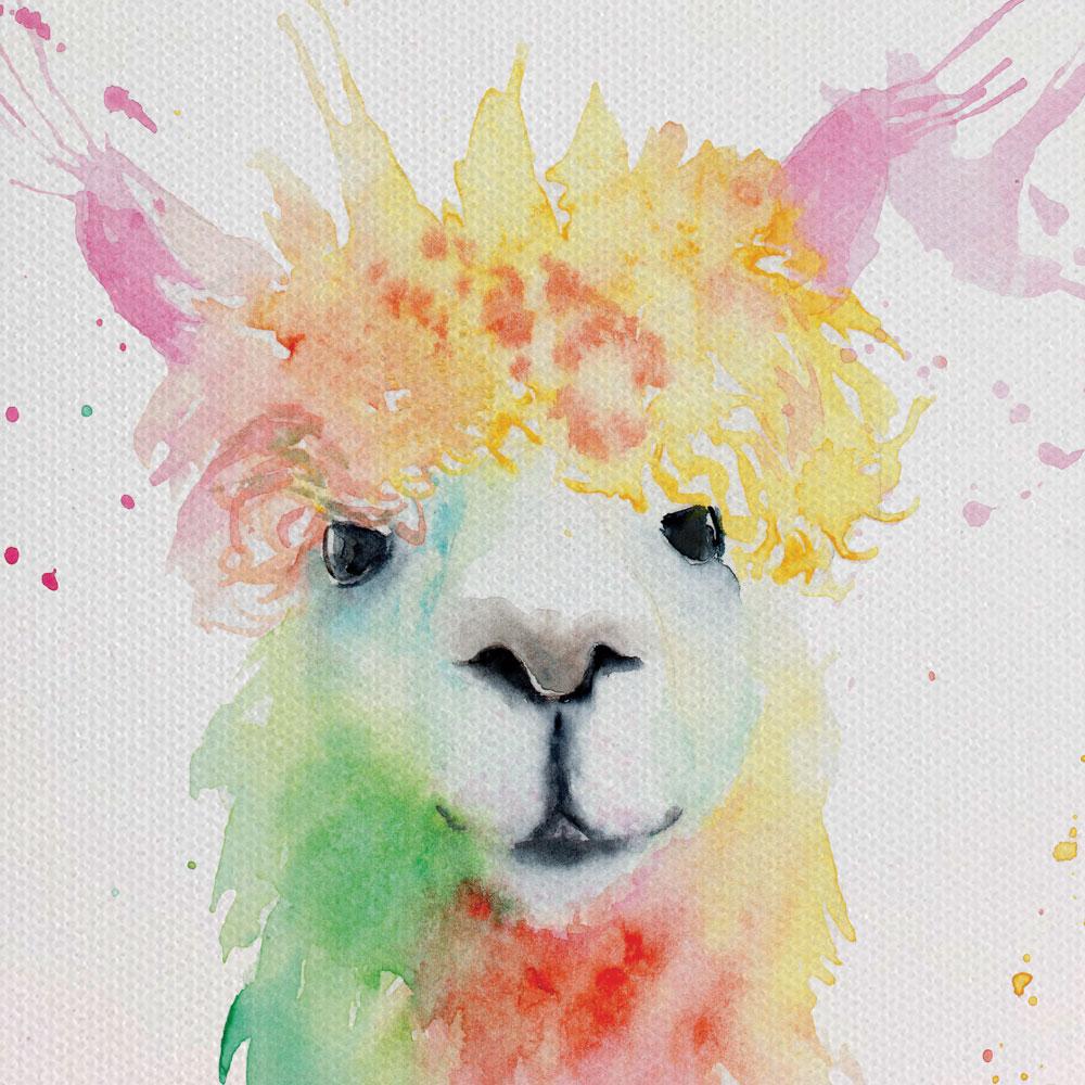 Colourful Watercolour Alpaca Canvas Print wall art product Olga Toshka / Shutterstock