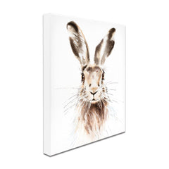 Harry The Hare Canvas Print – Art Print Shop