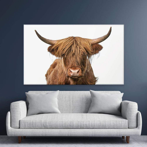 Highland Bull Canvas Print – Art Print Shop