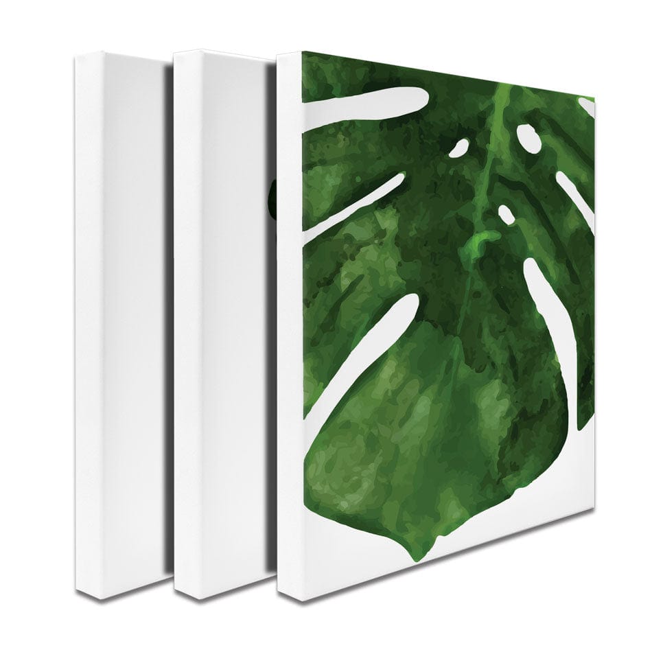 Monstera Trio Canvas Print wall art product VicW / Shutterstock