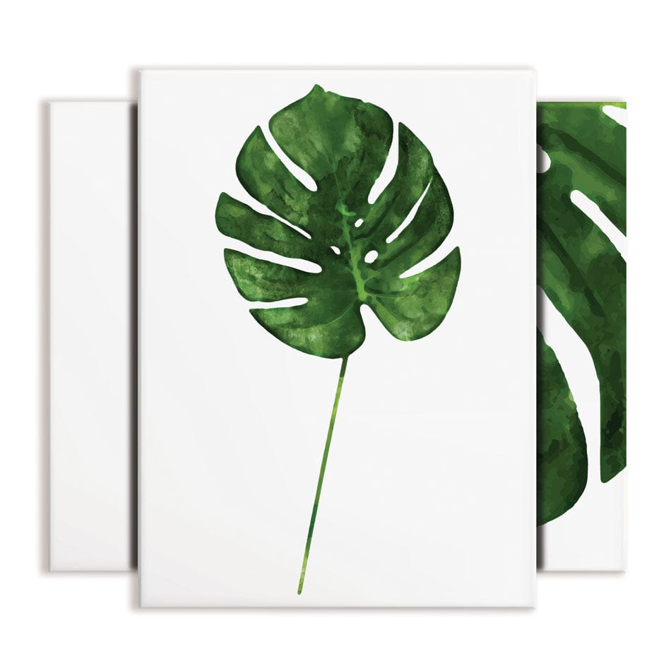 Monstera Trio Canvas Print wall art product VicW / Shutterstock