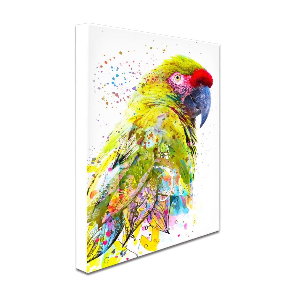 Tropical Parrot Paint Splash Canvas Print wall art product LILAWA.COM / Shutterstock