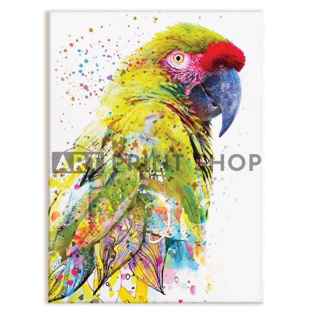 Tropical Parrot Paint Splash Canvas Print wall art product LILAWA.COM / Shutterstock