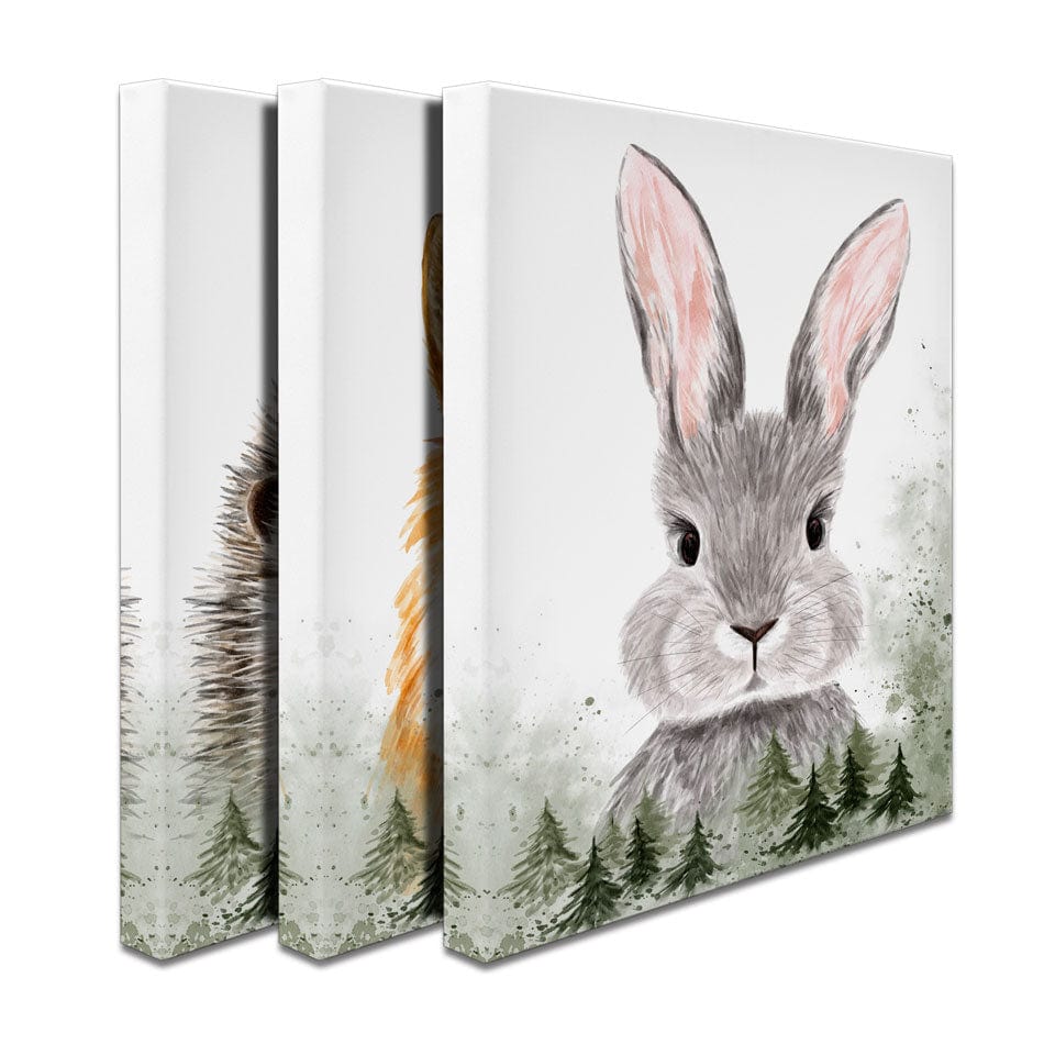 Woodland Animals Trio Canvas Print wall art product AmelieDream / Shutterstock