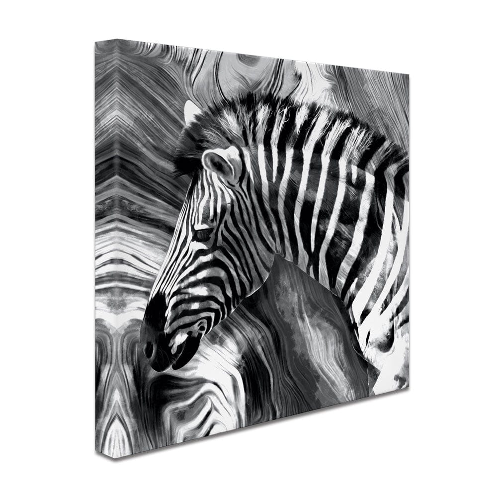 Zebra Square Canvas Print wall art product Mohammadreza Zeidabadi / Shutterstock